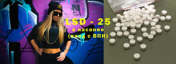 шишки Инта