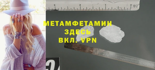 шишки Инта