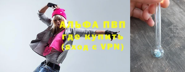 спиды Инсар