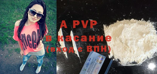 шишки Инта