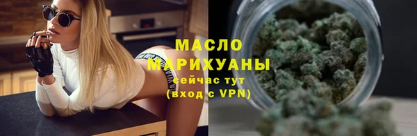 шишки Инта
