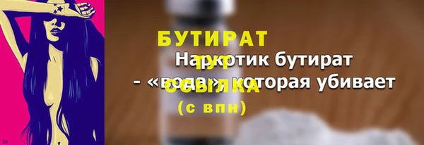 шишки Инта