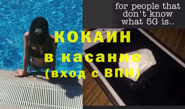 шишки Инта