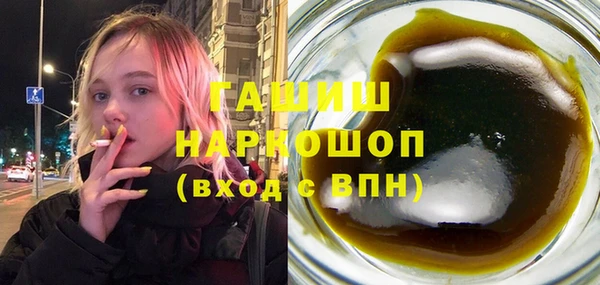 шишки Инта