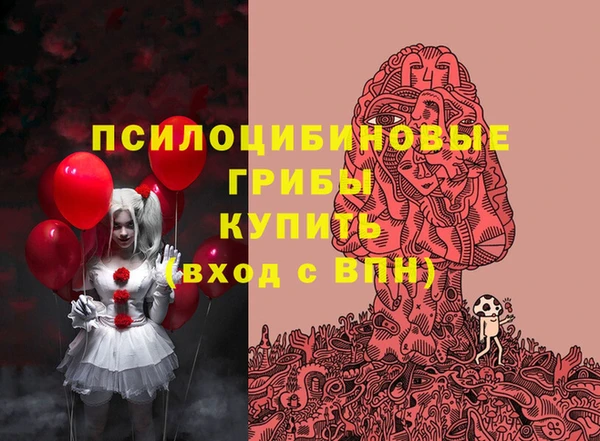 шишки Инта