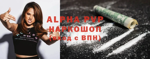 шишки Инта