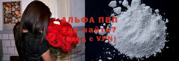 спиды Инсар