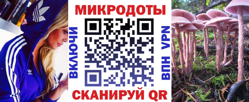 Псилоцибиновые грибы Cubensis  Купить где  Бирск 